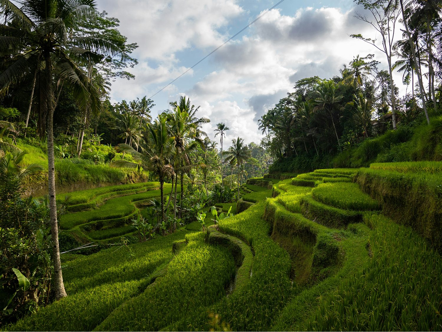 Bali Stay, Singapore & All-Inclusive Azamara Southeast Asia Voyage 2027