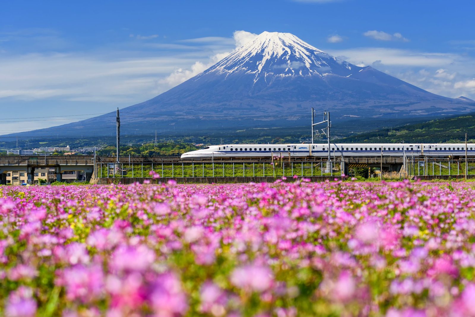 Japan by Bullet Train, Mount Fuji & Princess Cruises East Asia Voyage 2027