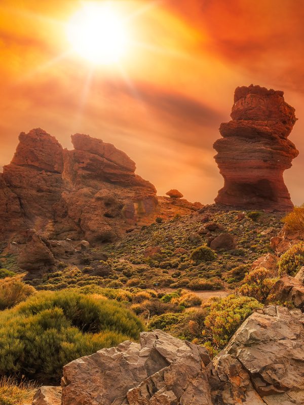 Canary Islands Tenerife