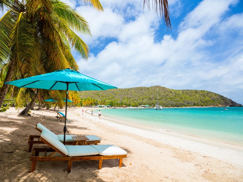 Caribbean Beach With Sun Beds
