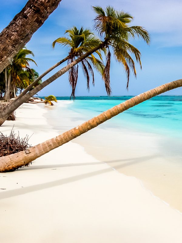 Caribbean cruises