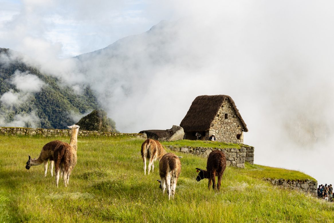 Machu Picchu, Panama Canal & Azamara Caribbean to Peru Voyage 2028